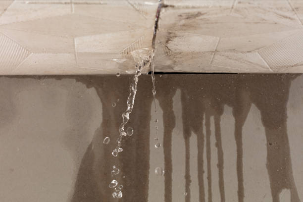 Professional Structural Drying technician working in Holualoa, HI